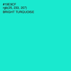 #19E9CF - Bright Turquoise Color Image